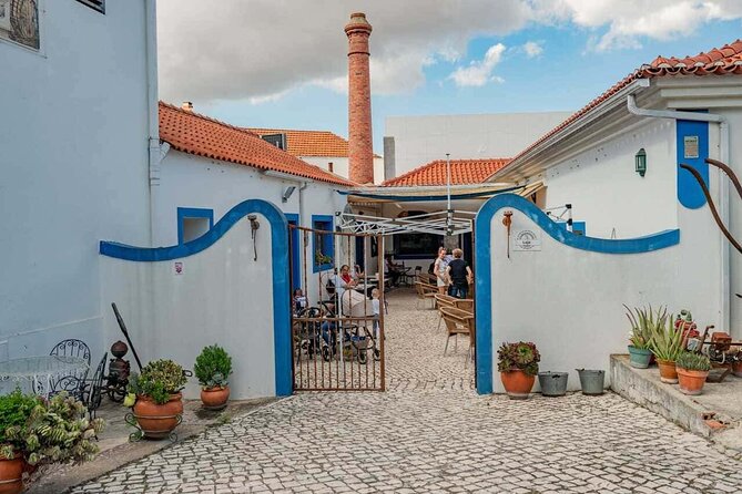 From Lisbon: Palmela-Setúbal Wine Tasting Tour (40kms of Lisbon) - Cancellation Policy