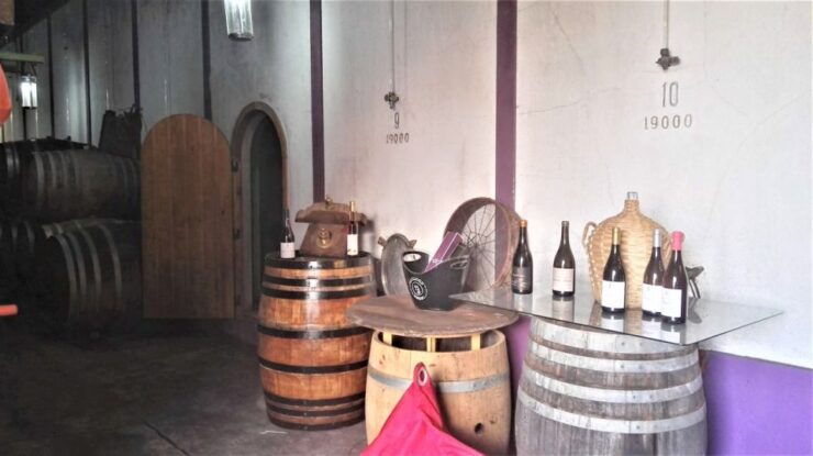 From Lisbon: Palmela Wine Tasting Tour With Snacks - Activity Details