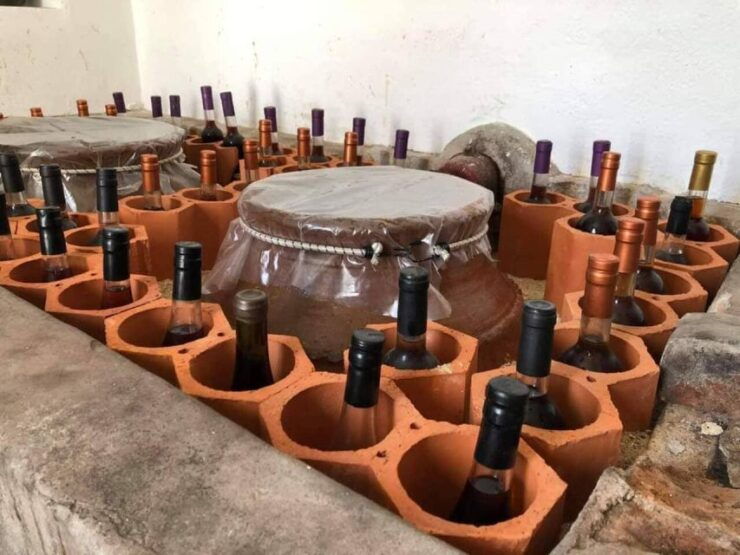 From Lisbon: Palmela Wine Tasting Tour With Snacks - Experience Highlights