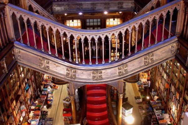 From Lisbon: Porto Full-Day Private Tour - Free Cancellation Available