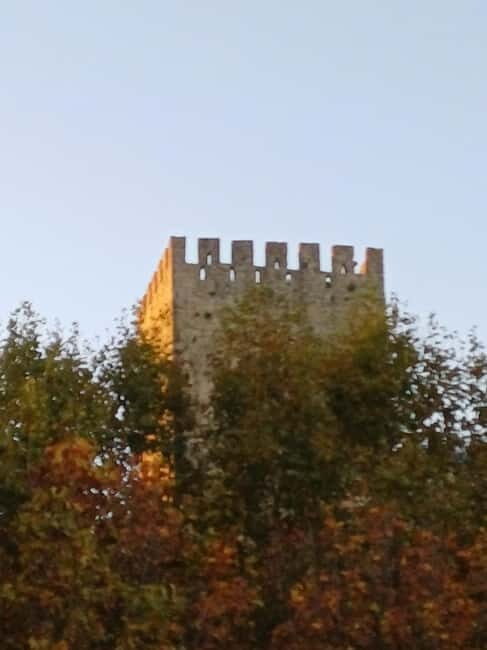 From Lisbon: Porto Transfer with Óbidos & Nazaré Tours - FAQ  