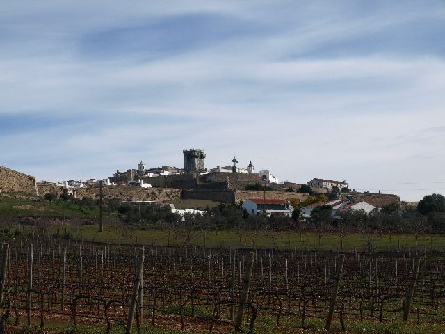 From Lisbon: Private 9-Hour Tour of Évora and Estremoz - Booking Details