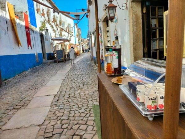 From Lisbon: Private Eco-Tour to Alcobaça, Nazaré & Óbidos - The Sum Up