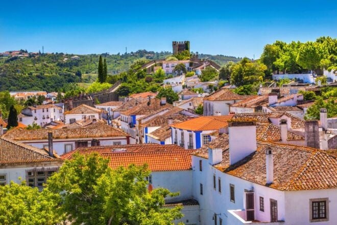 From Lisbon: Private Óbidos and Nazaré Tour - Discovering Nazarés Fishing Culture