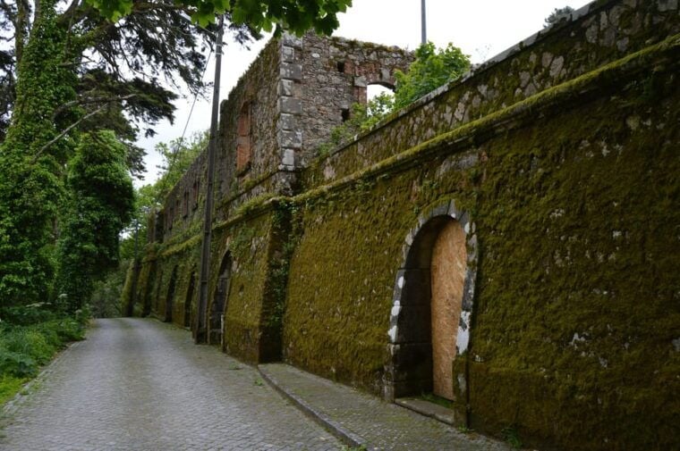 From Lisbon: Private Sintra Tour with a Local Guide - Quinta da Regaleira and Cabo da Roca: Hidden Gems and Spectacular Views