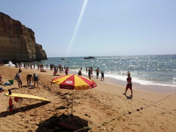 From Lisbon: Private Transfer to Albufeira or Vilamoura - Experience Highlights