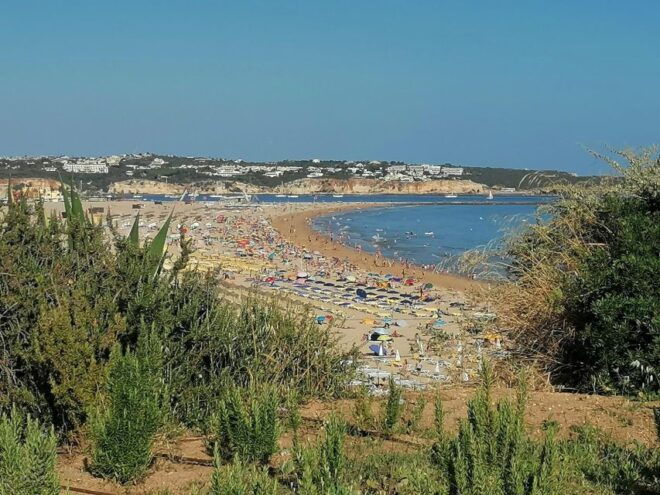 From Lisbon: Private Transfer to Lagos/Portimão/Carvoeiro - Additional Notes