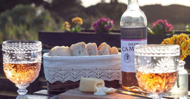 From Lisbon: Private Wine Tour with Wine & Cheese Tasting - Good To Know