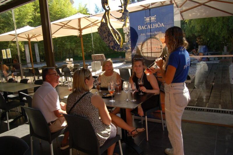From Lisbon: Private Wine Tour with Wine & Cheese Tasting - Livramento Market in Setúbal