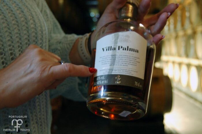 From Lisbon: Private Wine Tour with Wine & Cheese Tasting - Scenic Walks and Castle Views