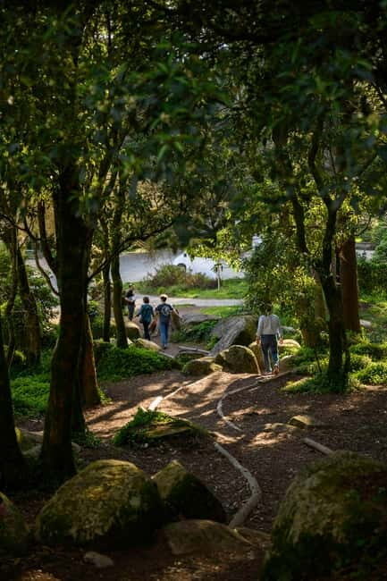 From Lisbon - Regaleira, Cabo da Roca, Forest & True Sintra - Who Is This Tour Best For?