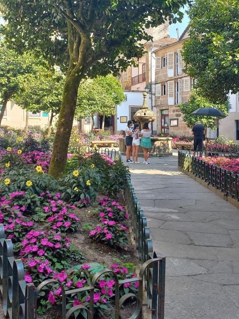 From Lisbon: Santiago De Compostela Private Transfer - Additional Information