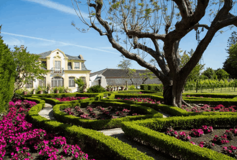 From Lisbon: Serra da Arrábida and Setúbal Wines - Who Would Love This Experience?
