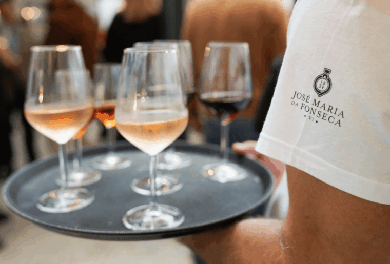 From Lisbon: Serra da Arrábida and Setúbal Wines - Additional Recommendations