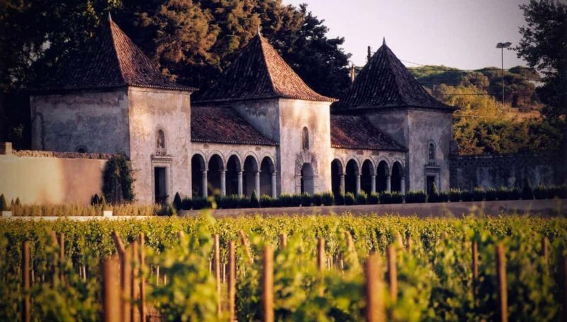 From Lisbon: Serra da Arrábida, Sesimbra, and Setúbal Wines - Who Will Love This Tour?