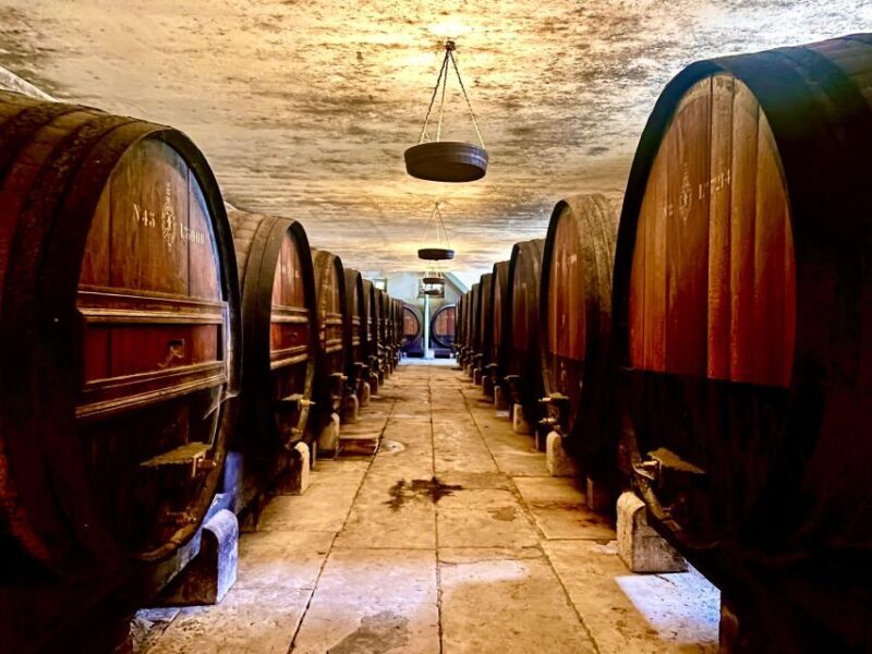 From Lisbon: Setúbal & Arrábida Wine Tour with Lunch - Good To Know