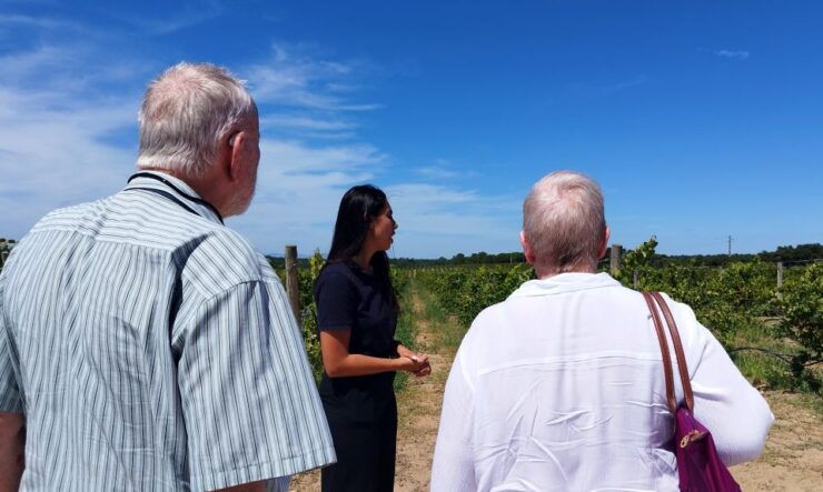 From Lisbon: Setúbal Wine Tour With Food and Wine Tasting - Tour Itinerary Highlights