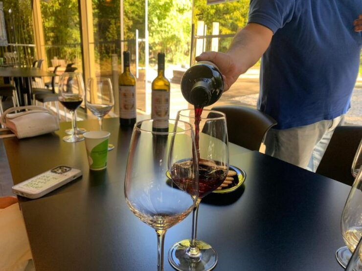 From Lisbon: Setúbal Wine Tour With Food and Wine Tasting - Booking and Cancellation Policy