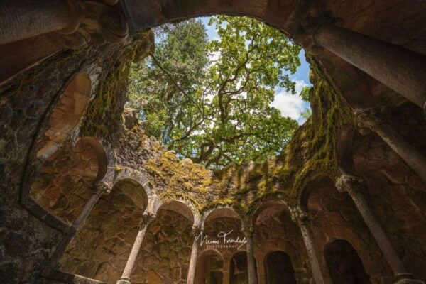 From Lisbon: Sintra, Regaleira, Guincho, and Cascais Tour - Meeting Point