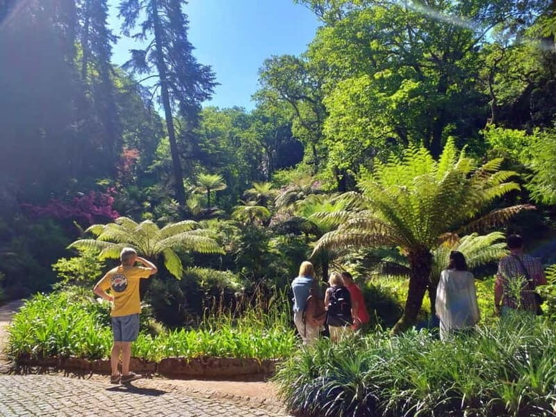 From Lisbon: Sintra's Historical and Natural Gems - The Value and Practicalities