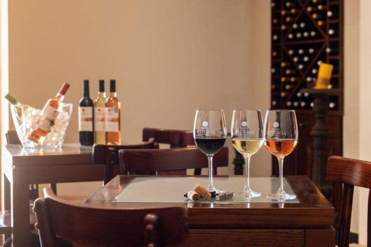 From Lisbon: The Best of Alentejo Day Trip All Inclusive - Experience Highlights