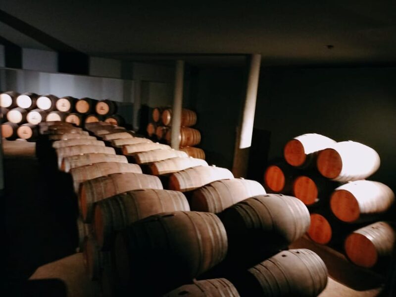 From Lisbon to Douro Valley with Stops up to 4 Cities - The Douro River and Lamego: Nature and Heritage