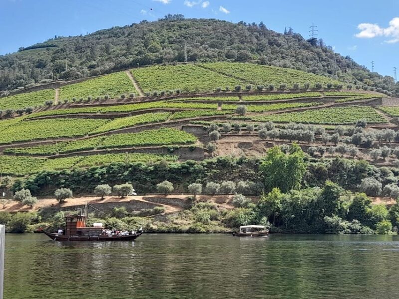 From Lisbon to Douro Valley with Stops up to 4 Cities - Transport and Comfort