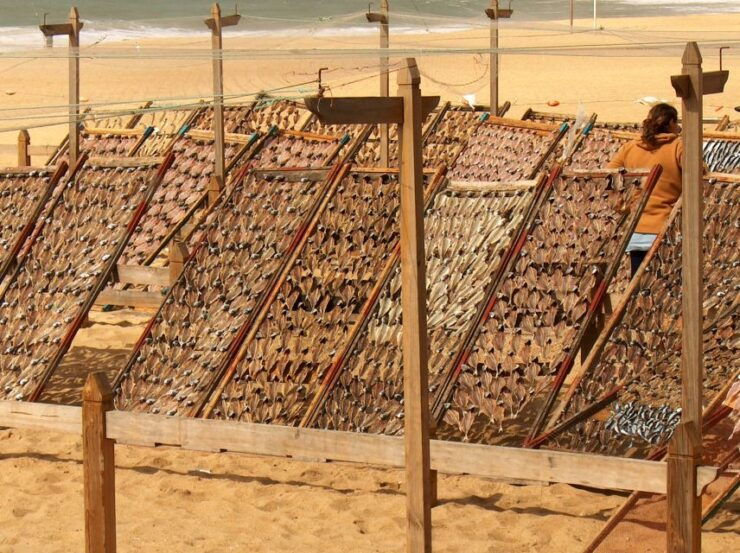 From Lisbon to Porto in Transit Full Day Tour - Tour Duration and Flexibility