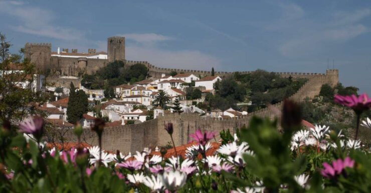 From Lisbon to Porto in Transit Full Day Tour - Inclusions and Amenities Provided