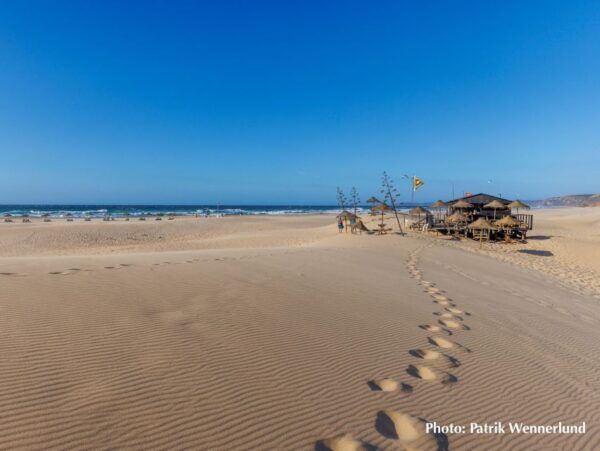 From Lisbon to the Algarve; Guided, Private Scenic Road Trip - Tips for a Smooth Travel Experience