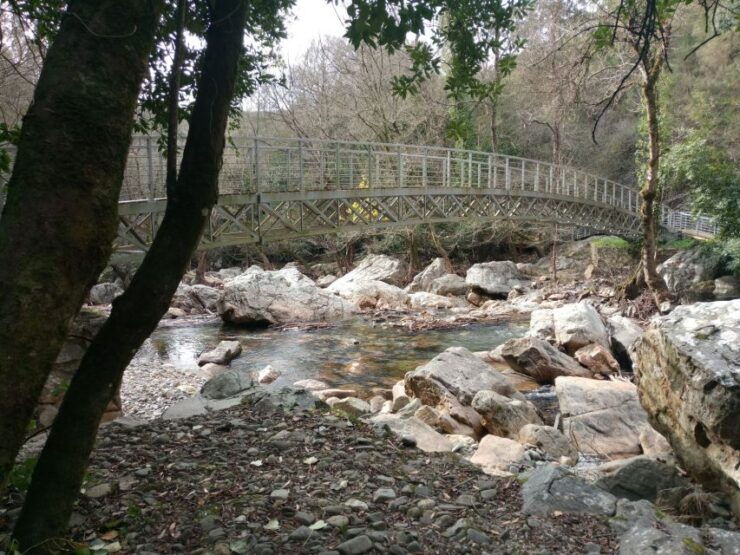 From Lisbon: Tomar and Casal De São Simão Guided Day Trip - Activity Details