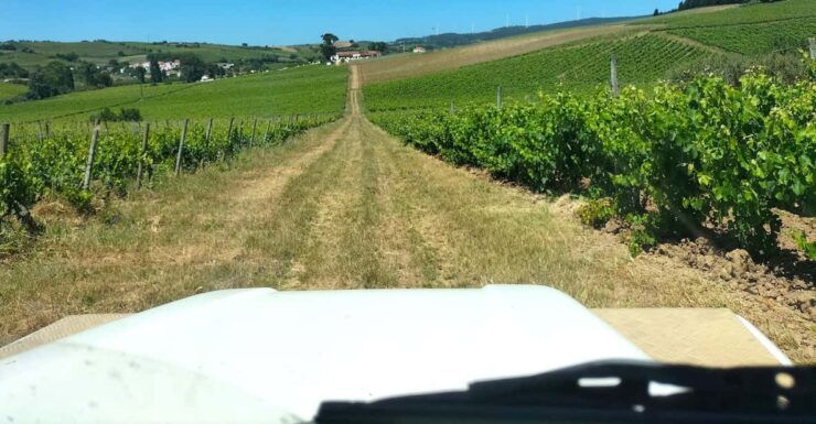 From Lisbon: Top Winery Visit, Tastings & 4WD Vineyards Tour - Tour Overview and Pricing