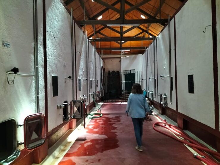 From Lisbon: Top Winery Visit, Tastings & 4WD Vineyards Tour - Winery Visits and Activities