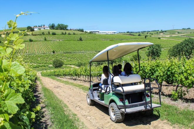 From Lisbon: Top Winery Visit, Tastings & 4WD Vineyards Tour - Included Amenities