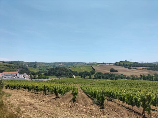 From Lisbon: Top Winery Visit, Tastings & 4WD Vineyards Tour - Environmental Responsibility