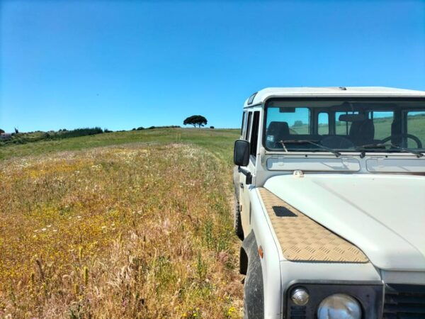 From Lisbon: Top Winery Visit, Tastings & 4WD Vineyards Tour - Safety and Precautions