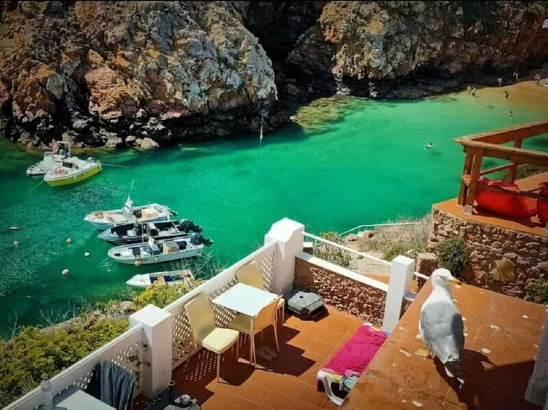 From Lisbon: Tour to Berlengas, a UNESCO natural reserve - Additional Activities and Free Time