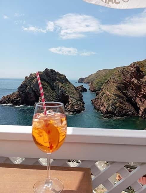 From Lisbon: Tour to Berlengas, a UNESCO natural reserve - Good To Know