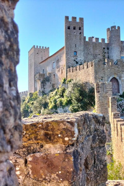 From Lisbon: Tour to Óbidos, Mafra & 3 Wineries 15 Tastings - Language Options