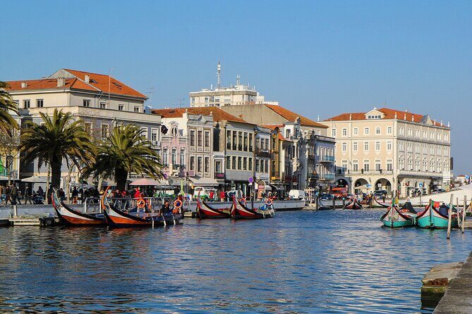 From Lisbon: Transfer to Porto with up to 3 City Stops - What Makes This Tour Stand Out