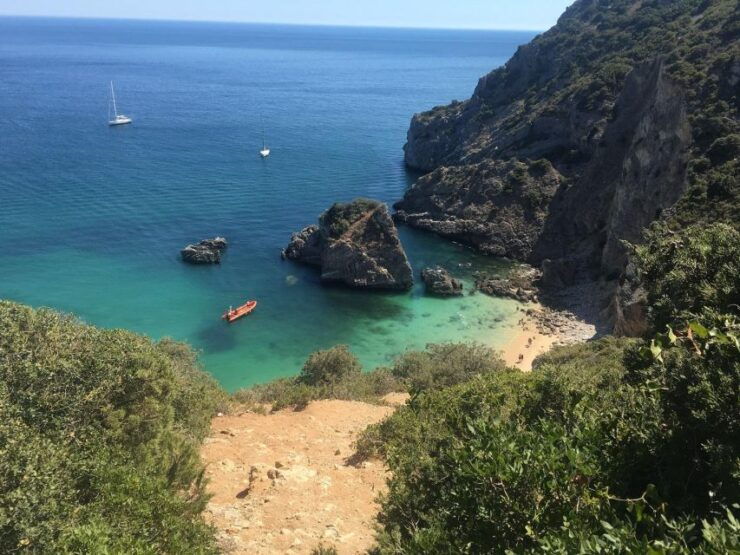 From Lisbon: Vicentine Coast Exploration - Experience Highlights