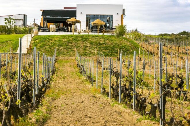 From Lisbon: Wine Tasting Tour and Traditional Tile Factory - Frequently Asked Questions