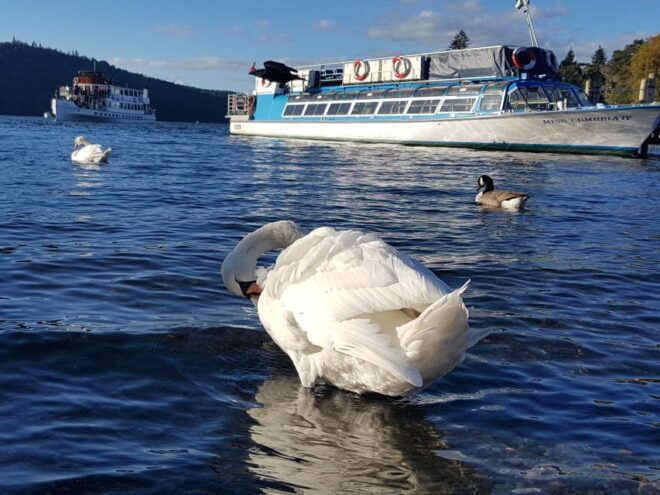 From Liverpool: Lake District Sightseeing Adventure Day Trip - Full Description