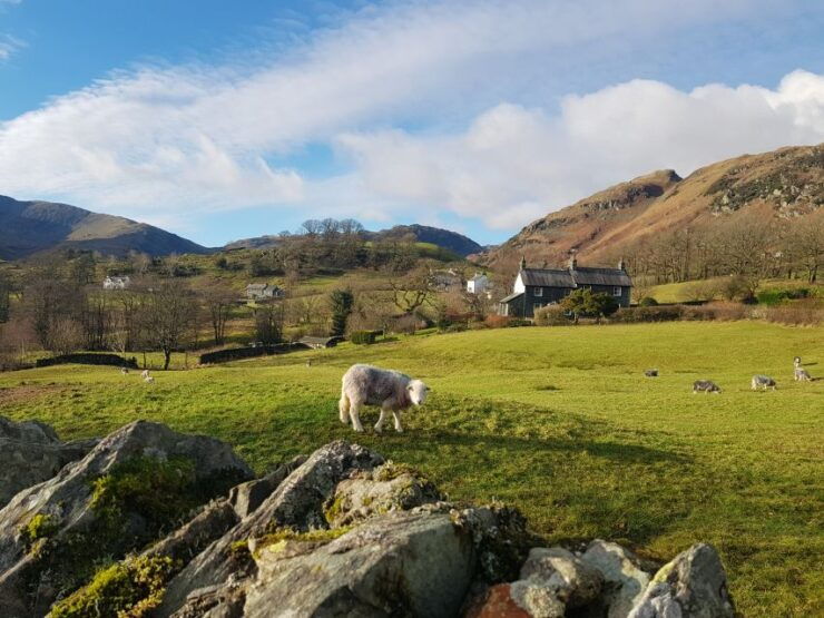 From Liverpool: Lake District Tour - Tour Details and Booking Information