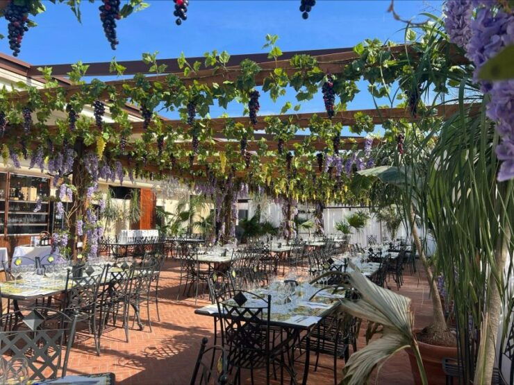 From Livorno: Chianti Tour With Lunch and Wine Tasting - Good To Know