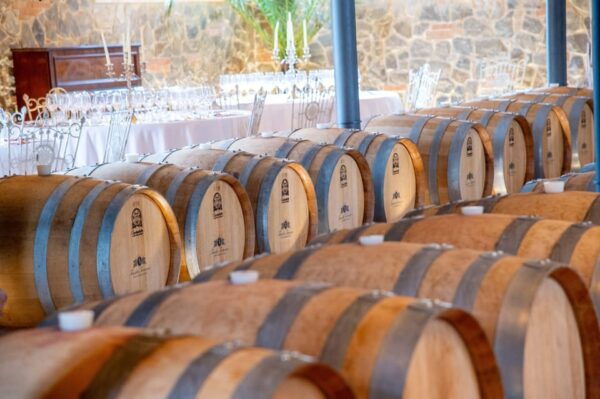 From Livorno: San Gimignano & Pisa With Lunch and Tasting - Transportation Details