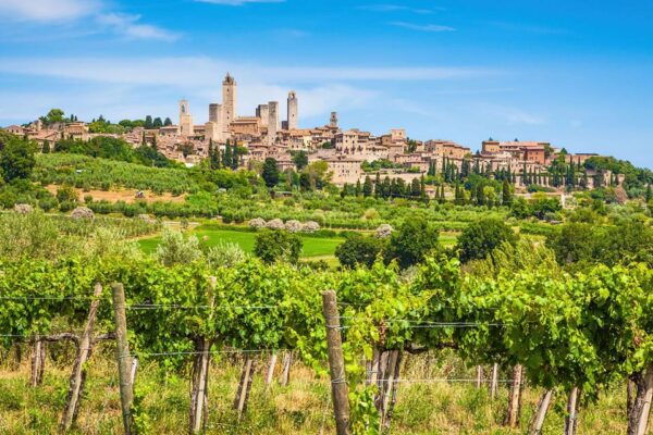 From Livorno: San Gimignano & Pisa With Lunch and Tasting - Important Information