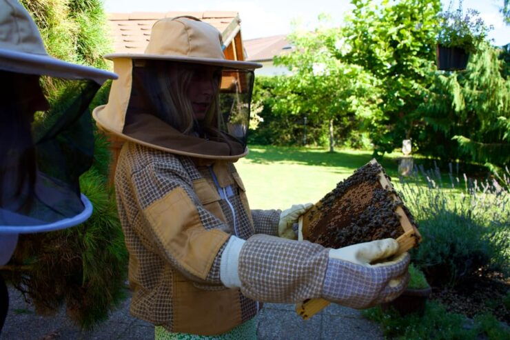 From Ljubljana: All About Bees - Good To Know