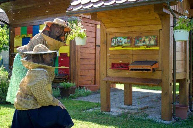 From Ljubljana: All About Bees - Highlights of the Experience