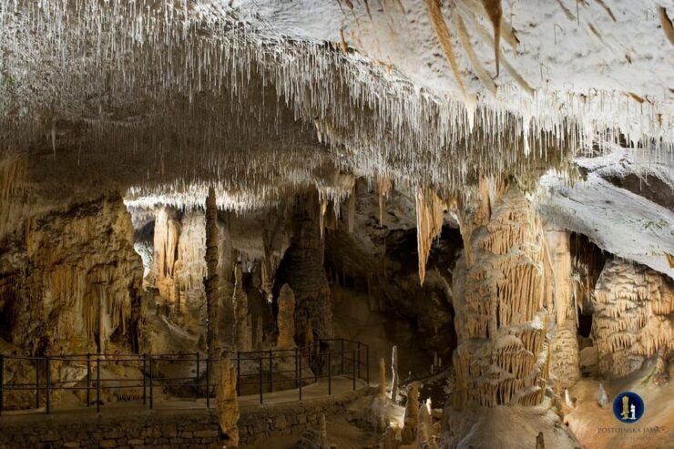 From Ljubljana: Postojna Cave and Predjama Castle Tour - Good To Know
